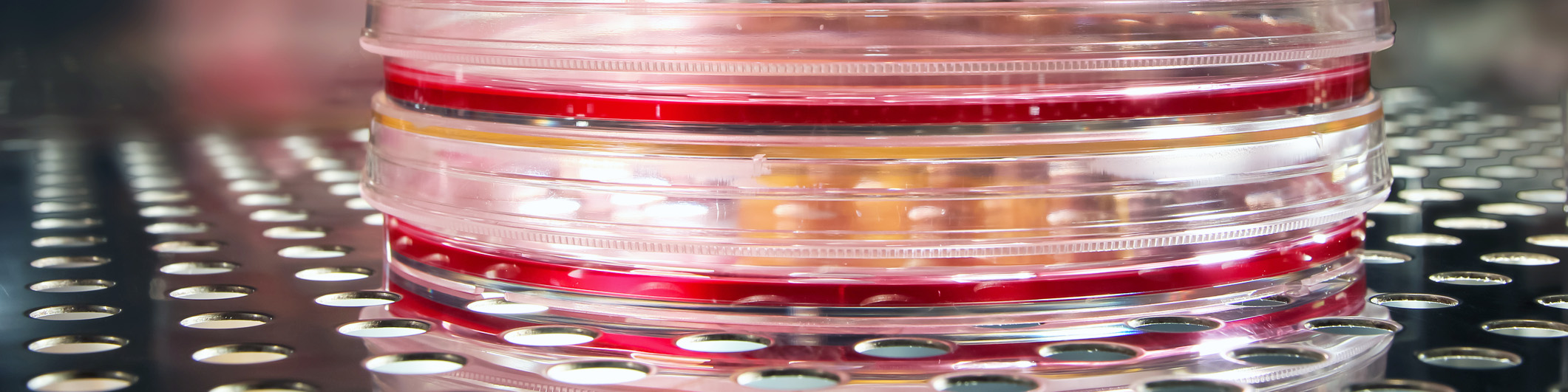 Cell Culture CO2 Incubators and Multigas Incubators